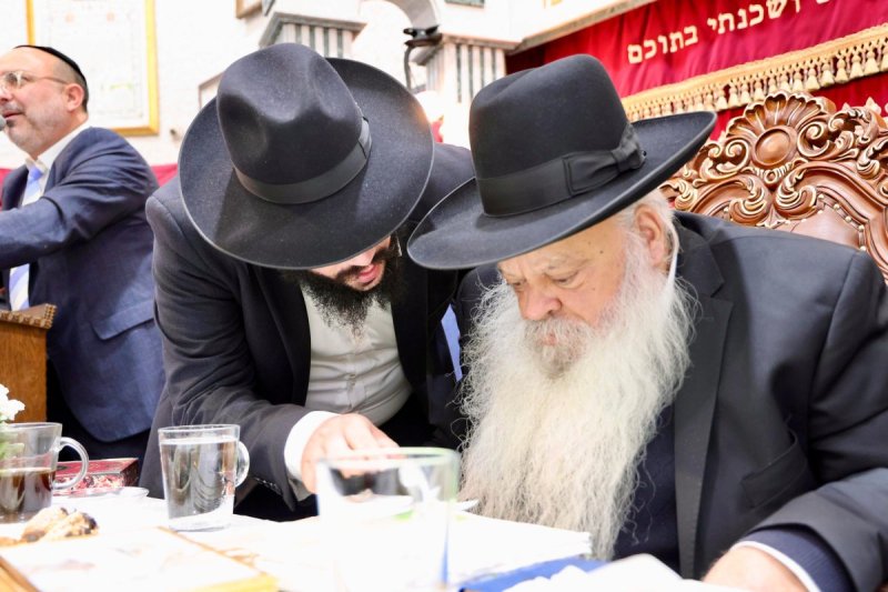 נועם אליהו