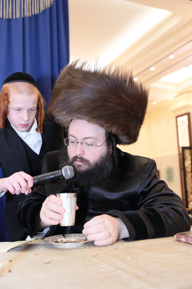 ציון דניאלי