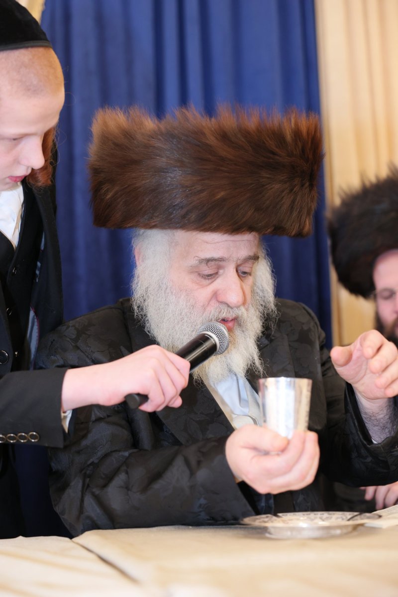 ציון דניאלי