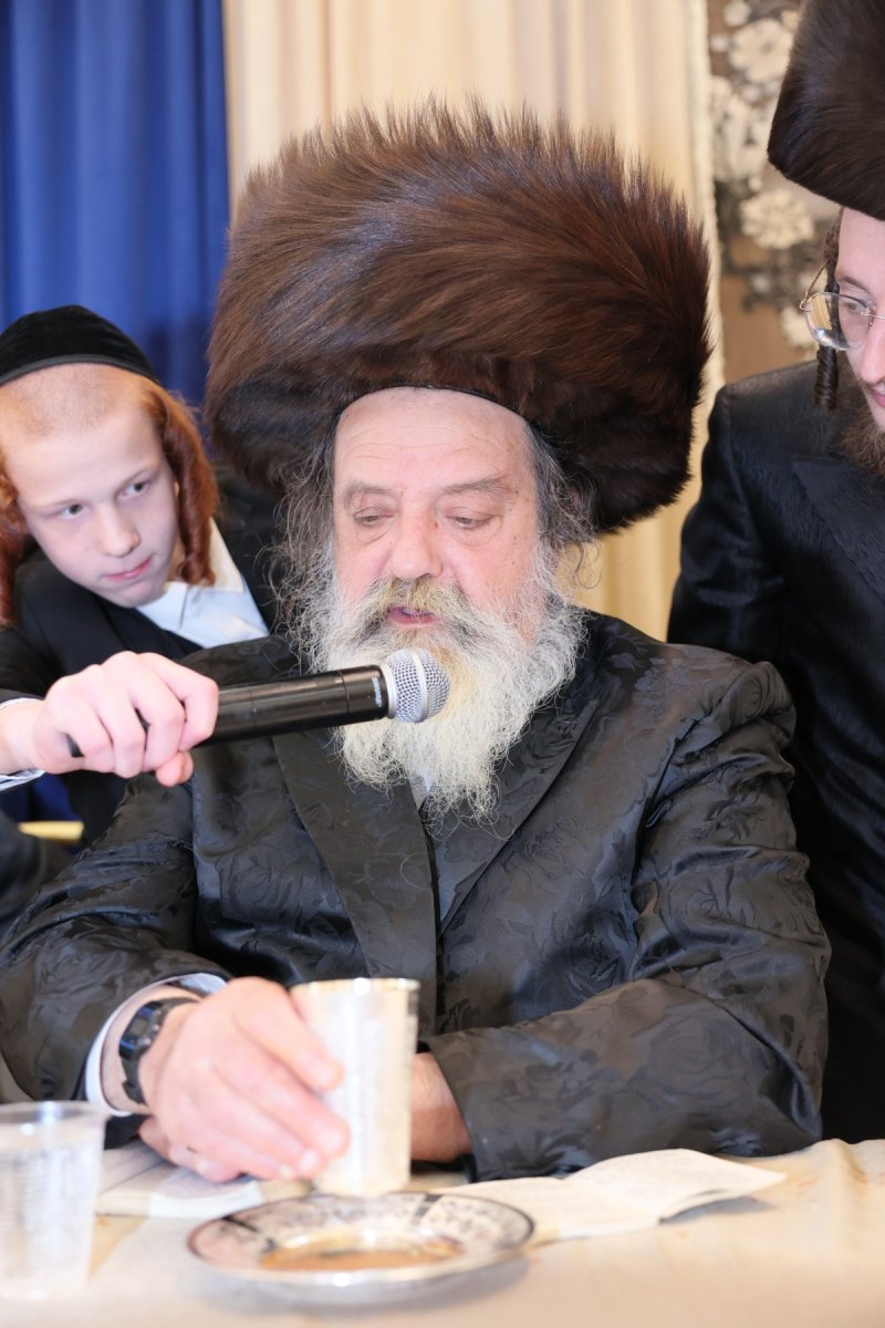 ציון דניאלי