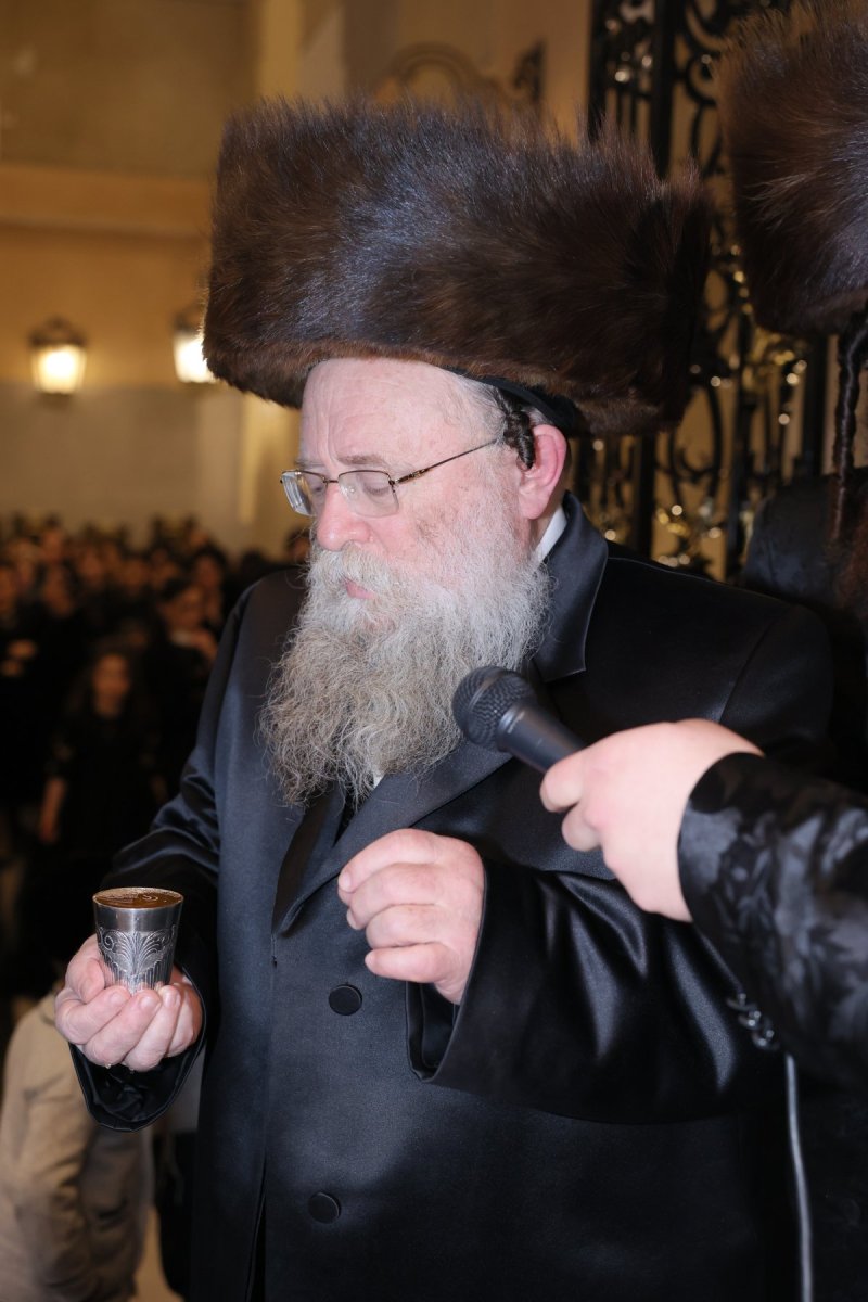 ציון דניאלי