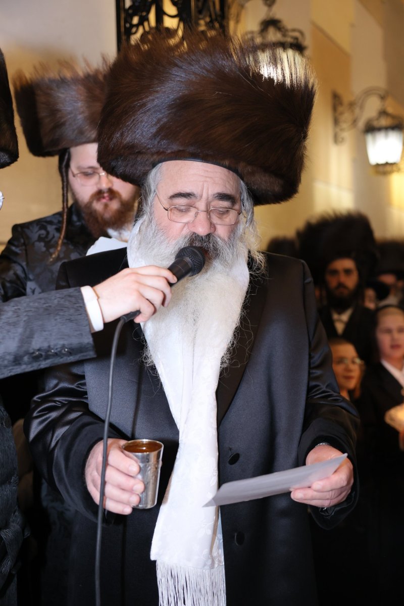 ציון דניאלי