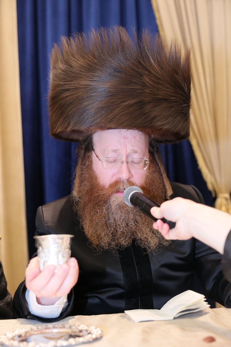 ציון דניאלי