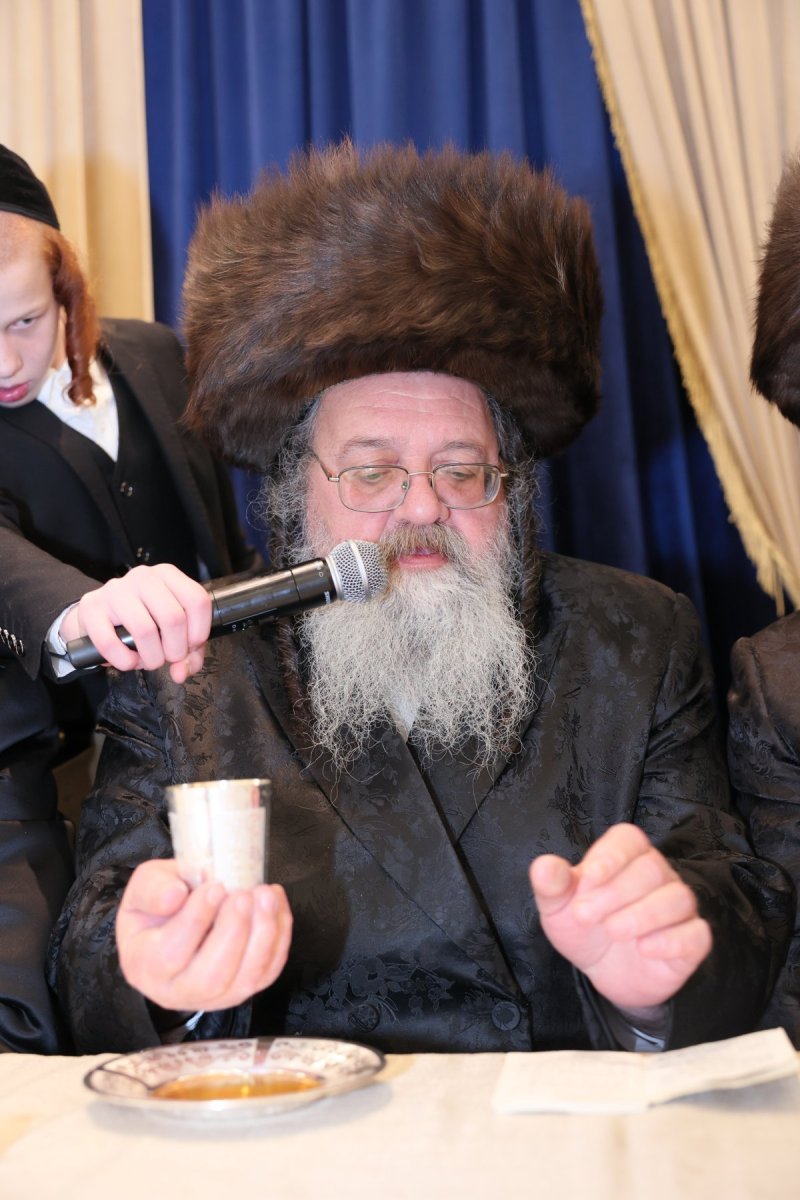 ציון דניאלי