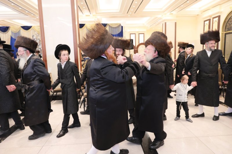 ציון דניאלי