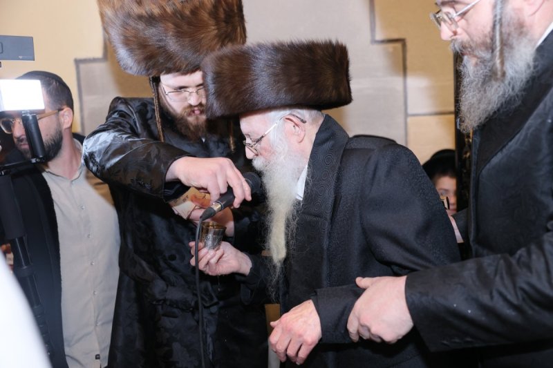 ציון דניאלי