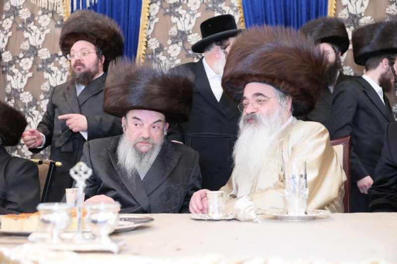 ציון דניאלי