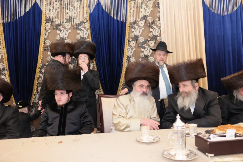 ציון דניאלי