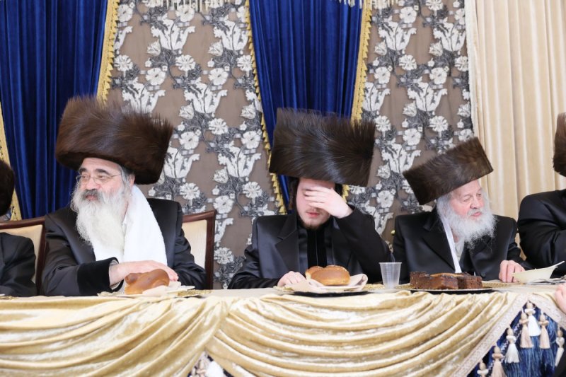 ציון דניאלי