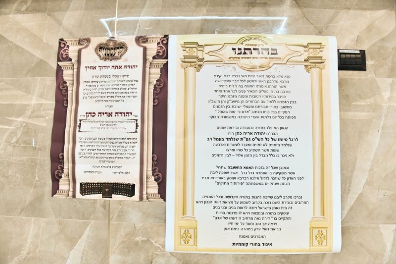 שוקי לרר
