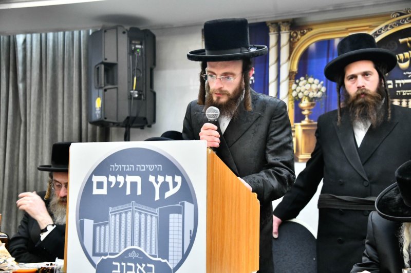 שוקי לרר