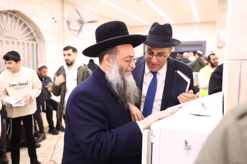 דוד מנדלסון ומאיר זלזניק
