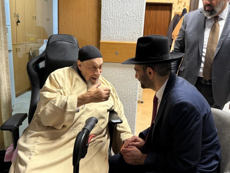 דוד מנדלסון ומאיר זלזניק