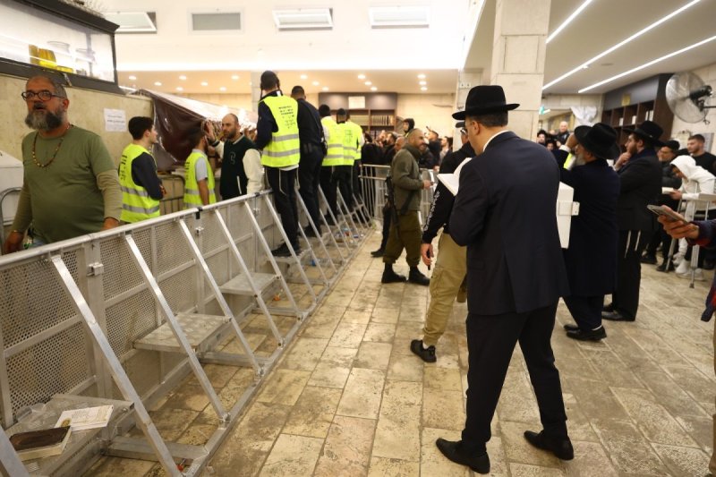 דוד מנדלסון ומאיר זלזניק