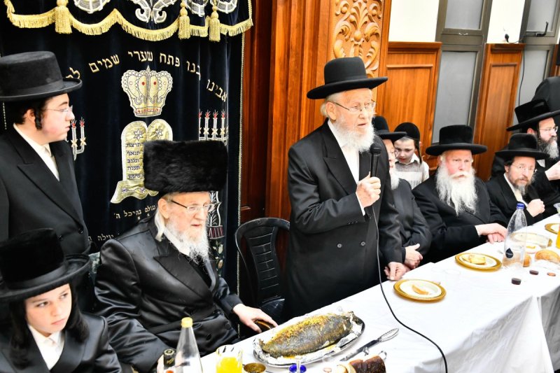 שוקי לרר