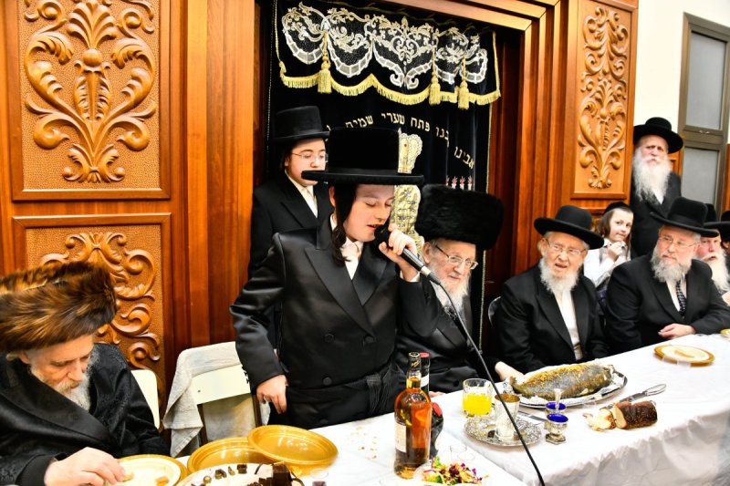 שוקי לרר