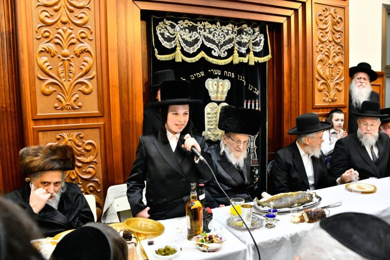 שוקי לרר