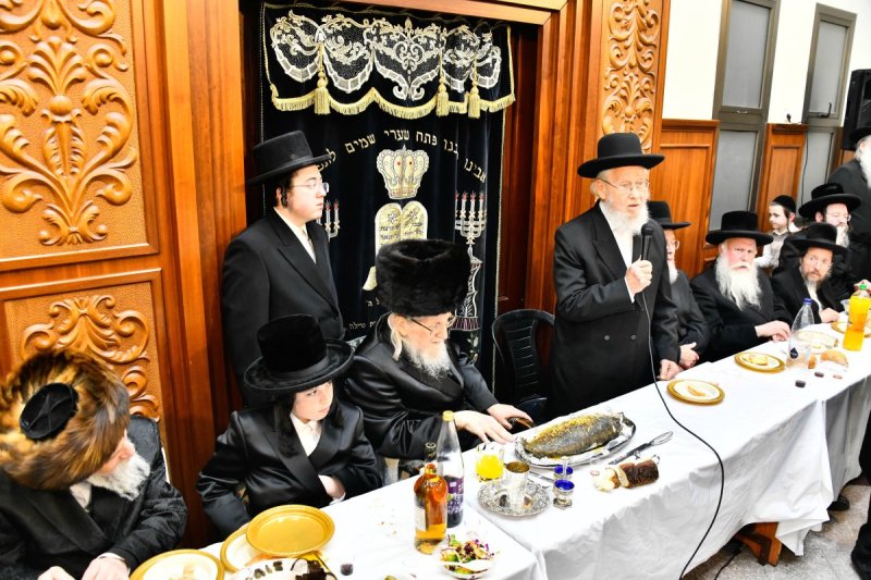 שוקי לרר