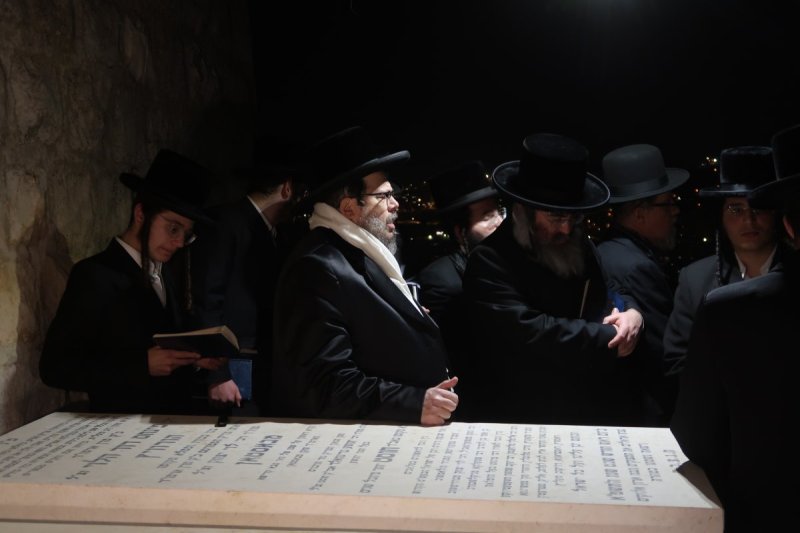 אלי סגל