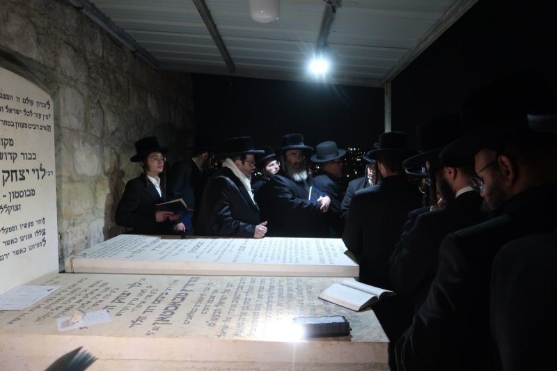 אלי סגל