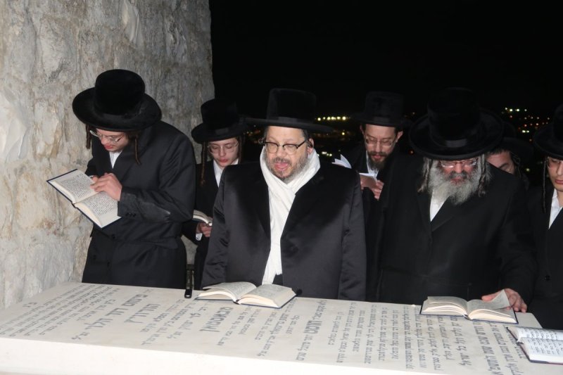 אלי סגל