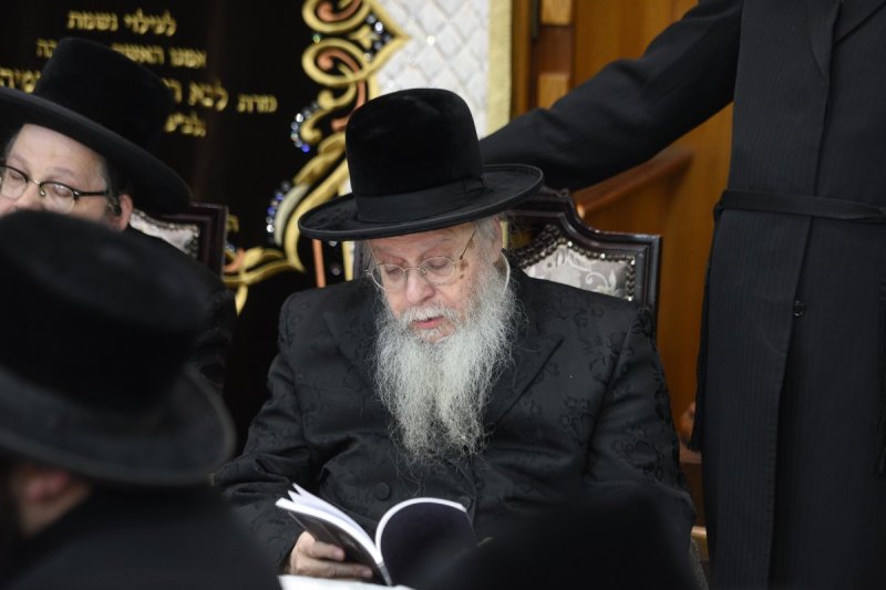 אלי סגל