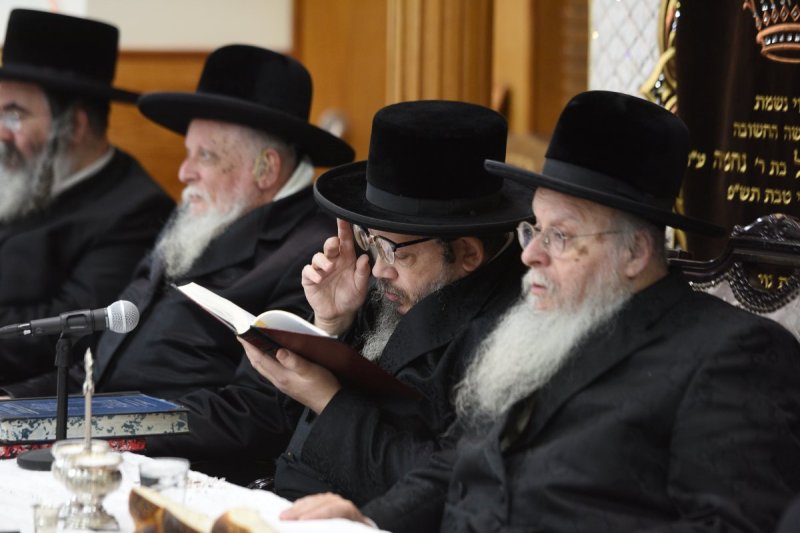 אלי סגל