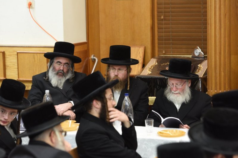 אלי סגל