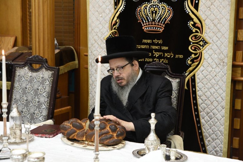 אלי סגל