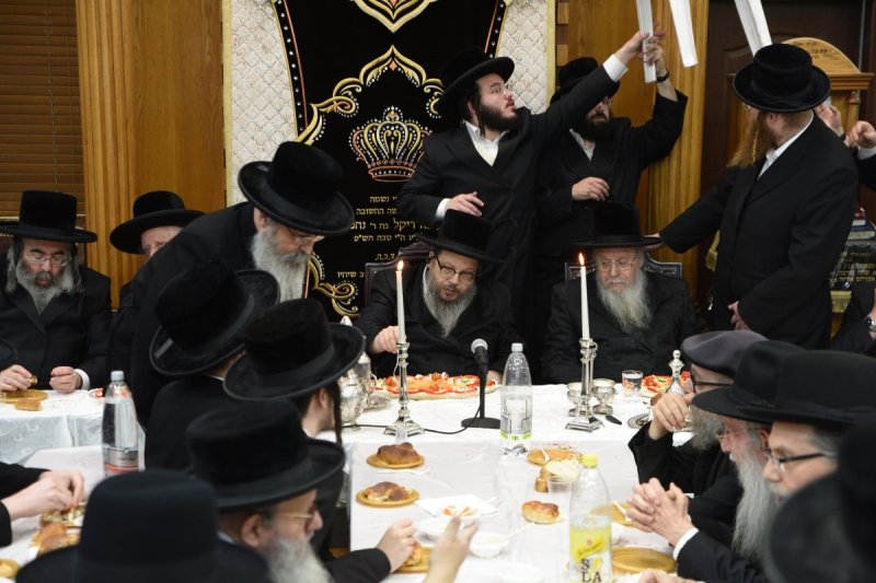 אלי סגל
