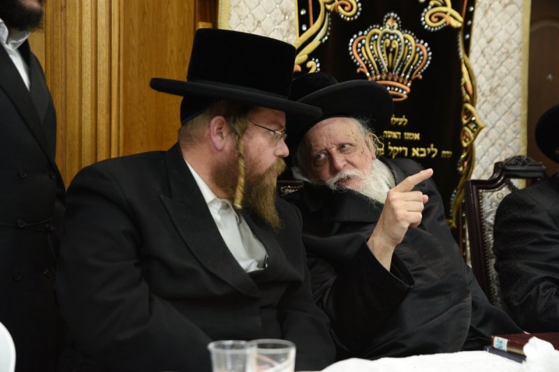 אלי סגל