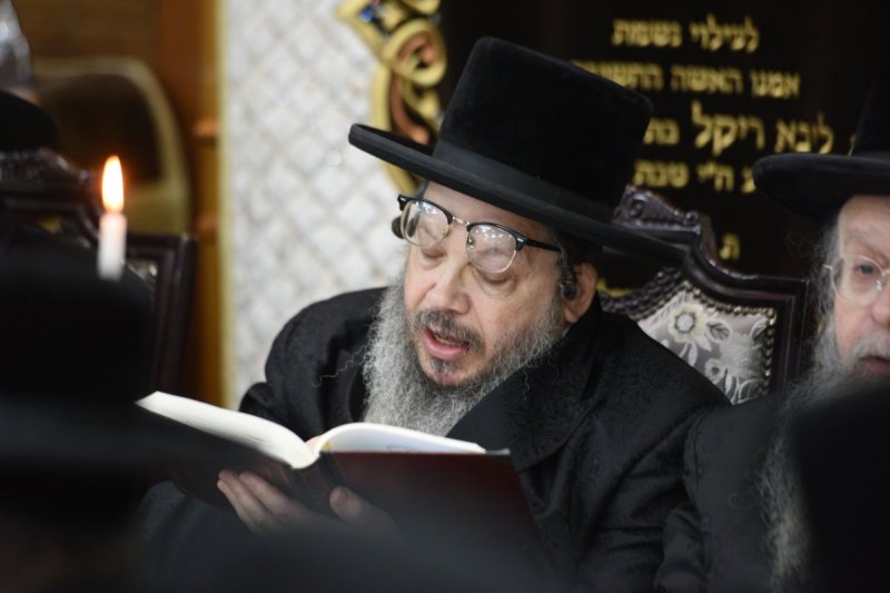 אלי סגל