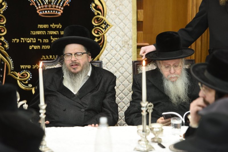 אלי סגל