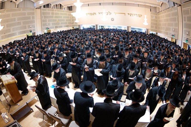 דודי ברוין - לונדון