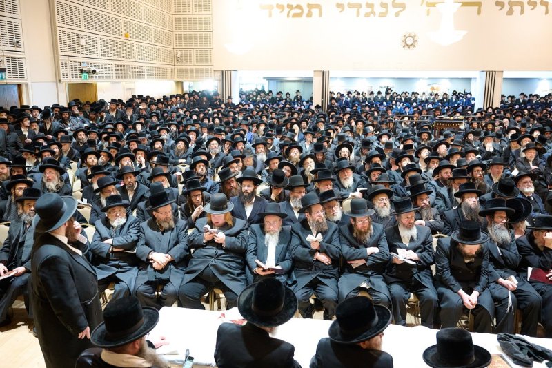 דודי ברוין - לונדון