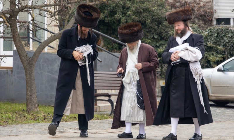 'נציבי הזהב' של החסידות במסע לשבת בקרעסטיר עם האדמו"ר