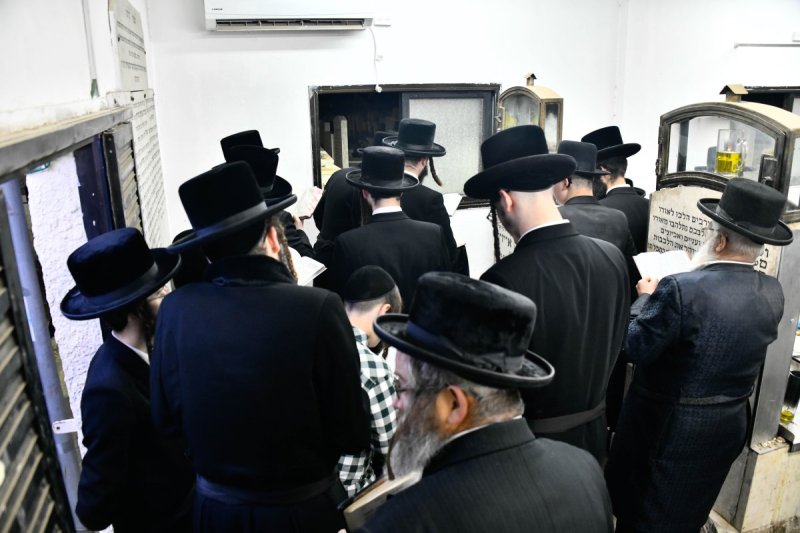 שוקי לרר