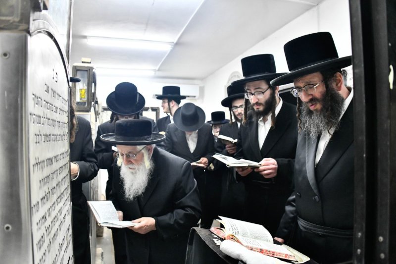 שוקי לרר