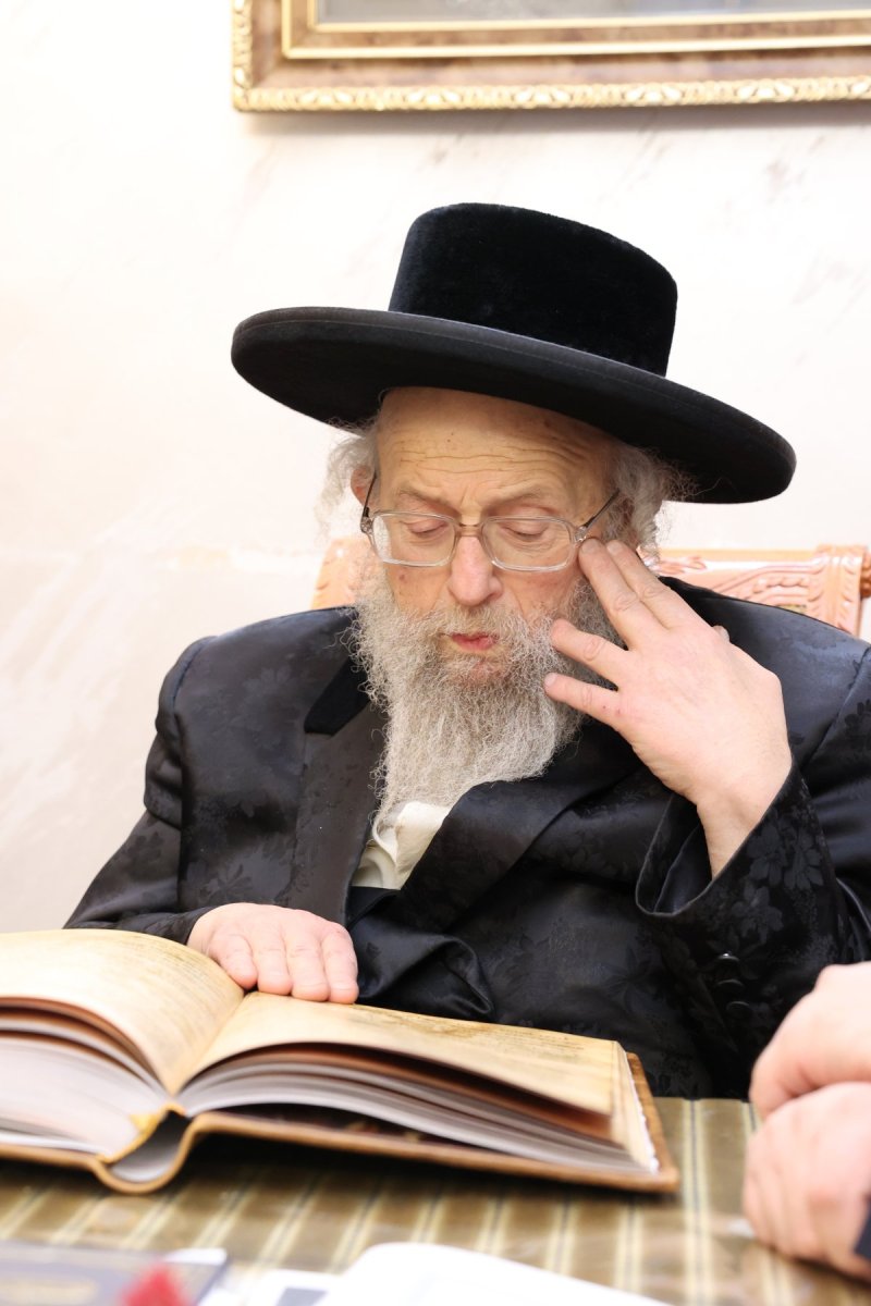 קובי הר צבי