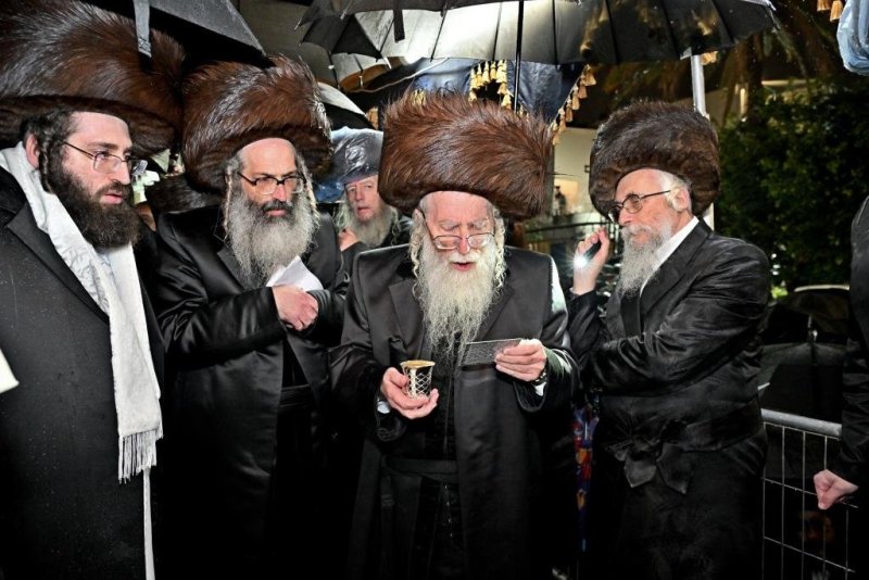 יהושע פרוכטר