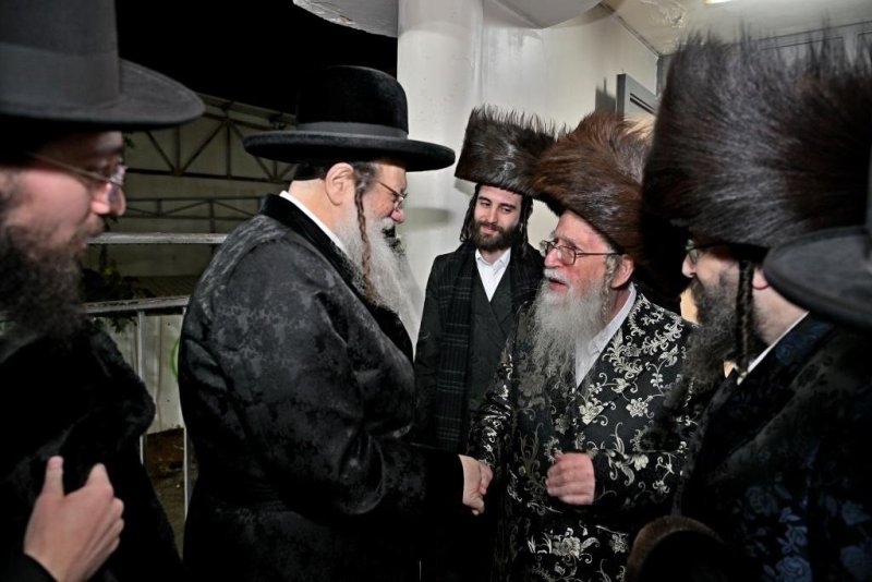 יהושע פרוכטר