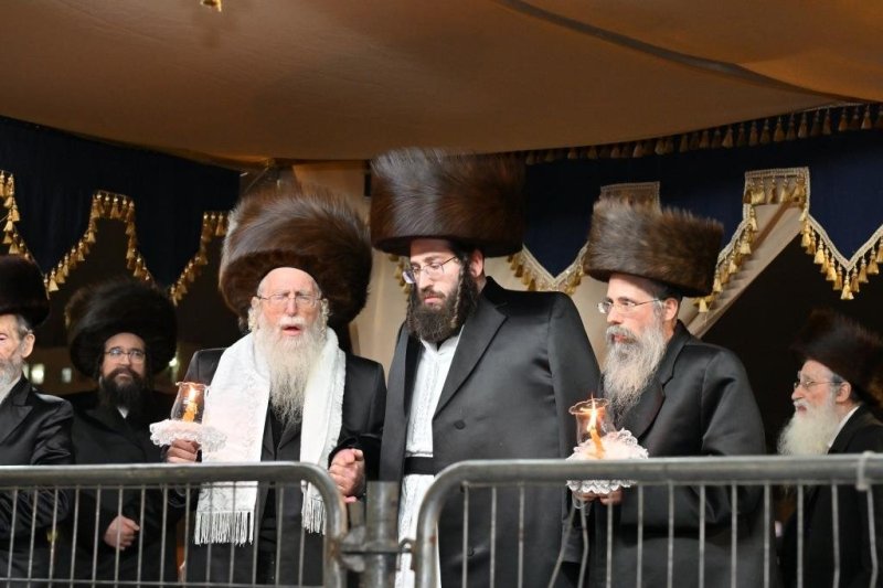 יהושע פרוכטר