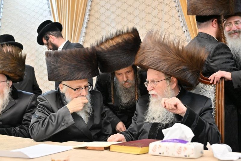 יהושע פרוכטר