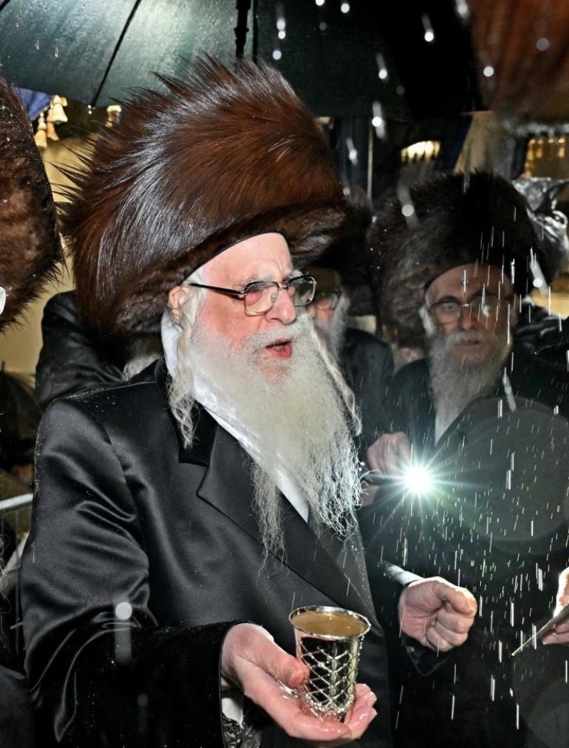 יהושע פרוכטר