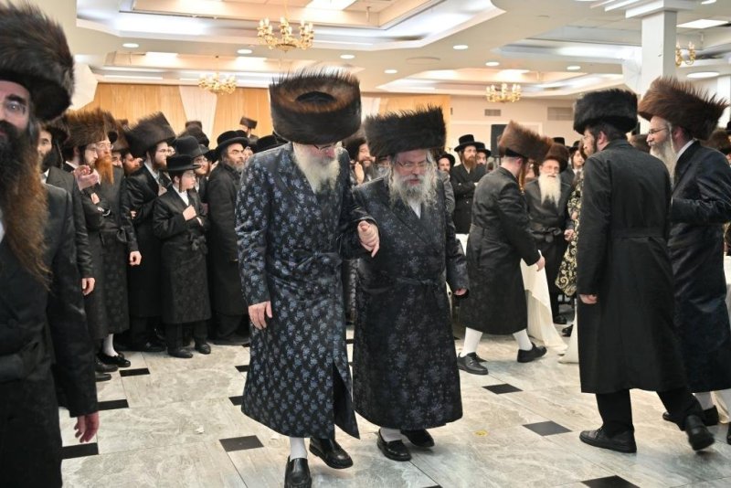 יהושע פרוכטר