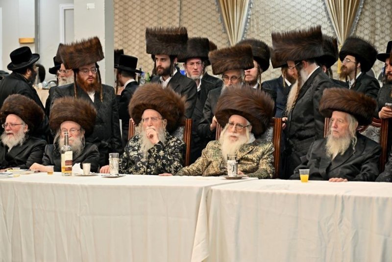 יהושע פרוכטר