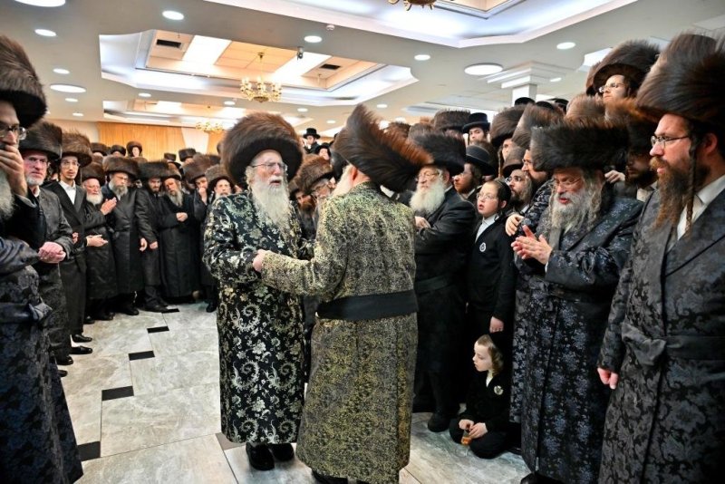 יהושע פרוכטר