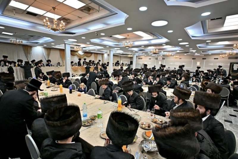 יהושע פרוכטר
