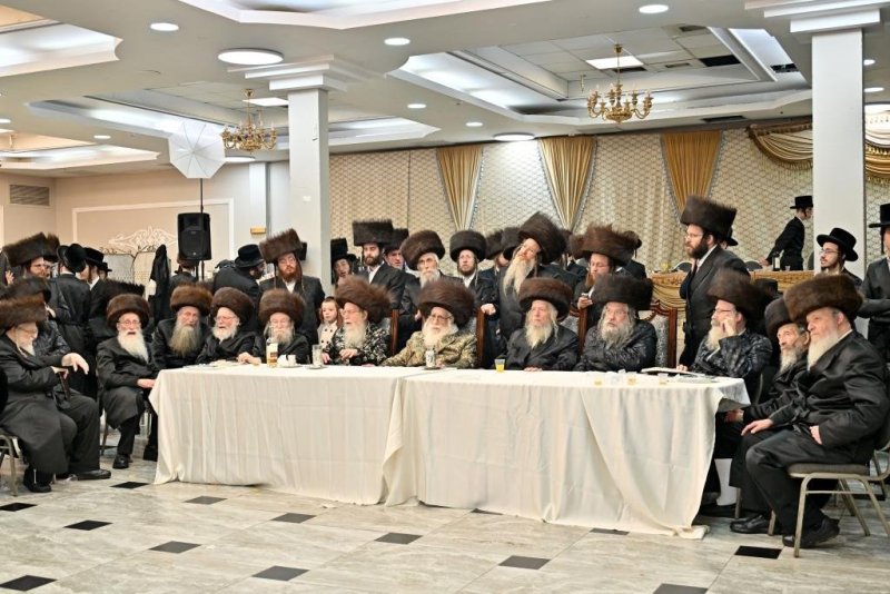 יהושע פרוכטר