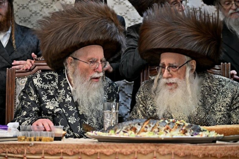 יהושע פרוכטר